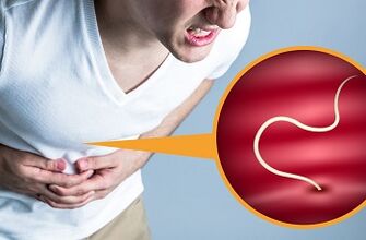 rodzaje pasożytów w organizmie człowieka