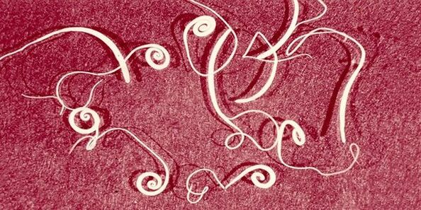 owsiki z ludzkiego ciała