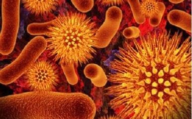 mikroorganizmy pasożytnicze w organizmie człowieka